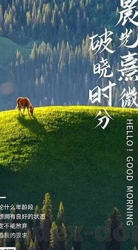 爱爱成人教学视频-爱爱成人教学视频，理性探讨与自我教育的边界