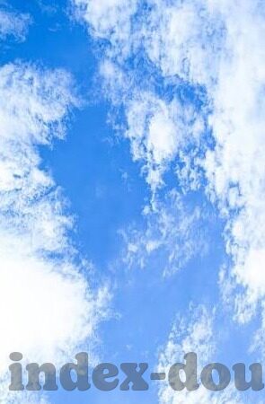 成人视频网址-成人视频，网络世界的双刃剑