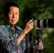 大象传媒免费入口-探索大象传媒的免费资源，一个创意与信息交汇的数字平台