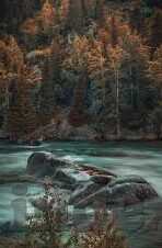 久久精品国产亚洲av麻豆2-谨以为戒，揭开久久精品国产亚洲av麻豆2网络传播背后的隐忧与警醒