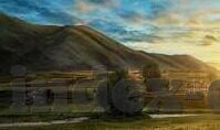 麻豆工作室沈芯语视频-一份心灵之旅，探访麻豆工作室沈芯语的独特魅力与创作视频的背后