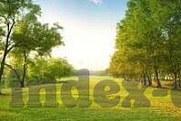 麻豆国产在线视频-麻豆国产在线视频，网络文化的新风貌与挑战