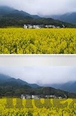 日本一区二区不卡高清更新-日本一区二区不卡高清更新的魅力与挑战